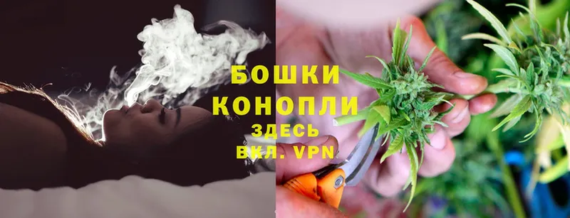 наркота  Протвино  Канабис SATIVA & INDICA 